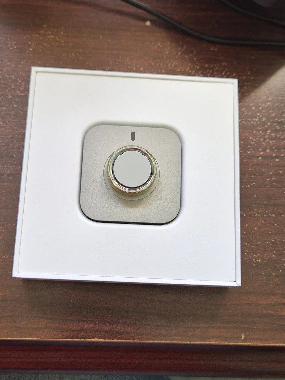 Oura Ring Sensor Pod Silver White